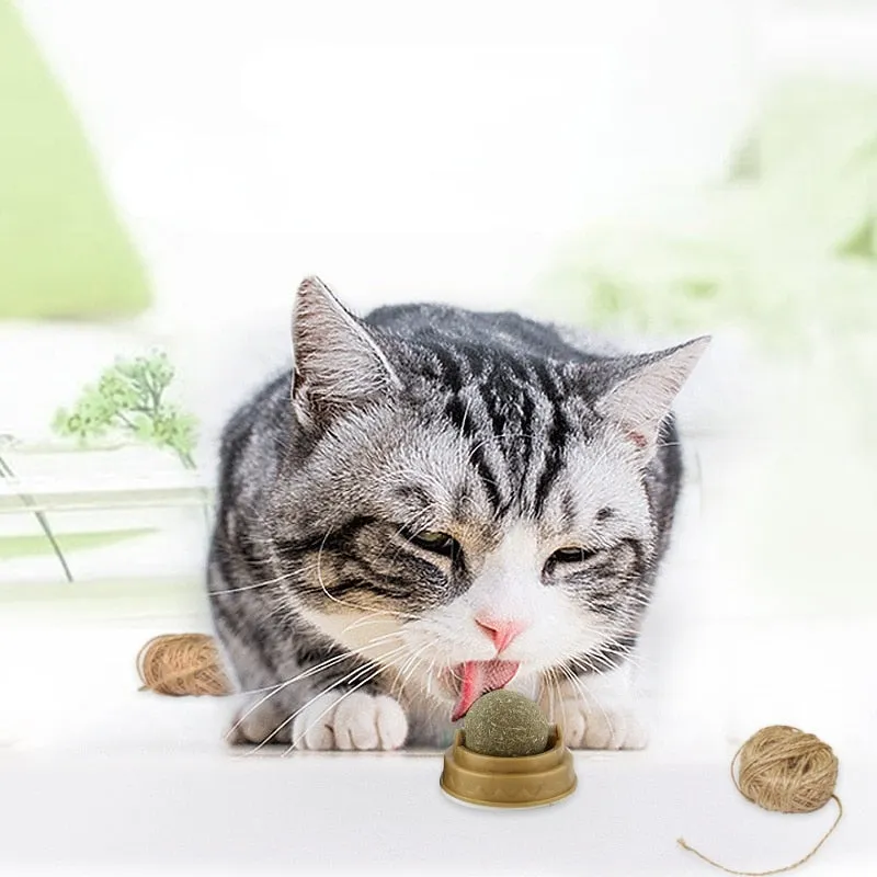 Catnip Wall Ball